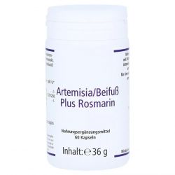 Артемизинин 150 мг капс. 60шт в Мурманске и области фото